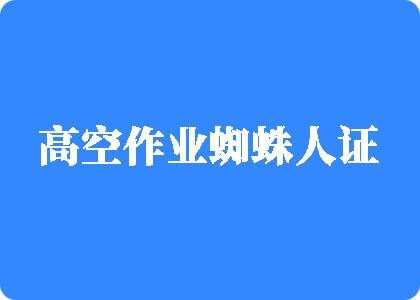 插b黄色视频高空作业蜘蛛人证